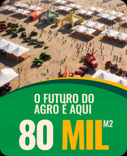 Notícia 1