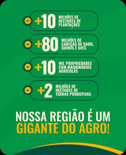 Notícia 2